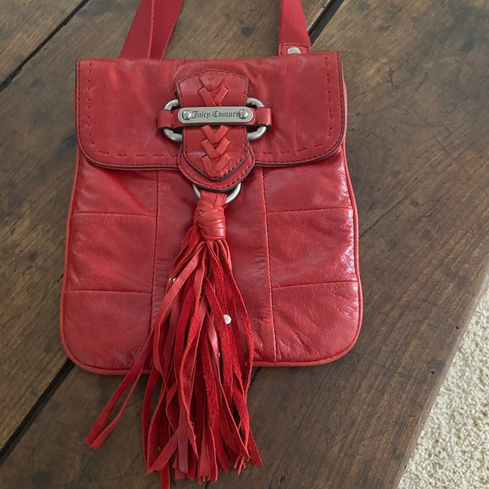 Juicy couture purse